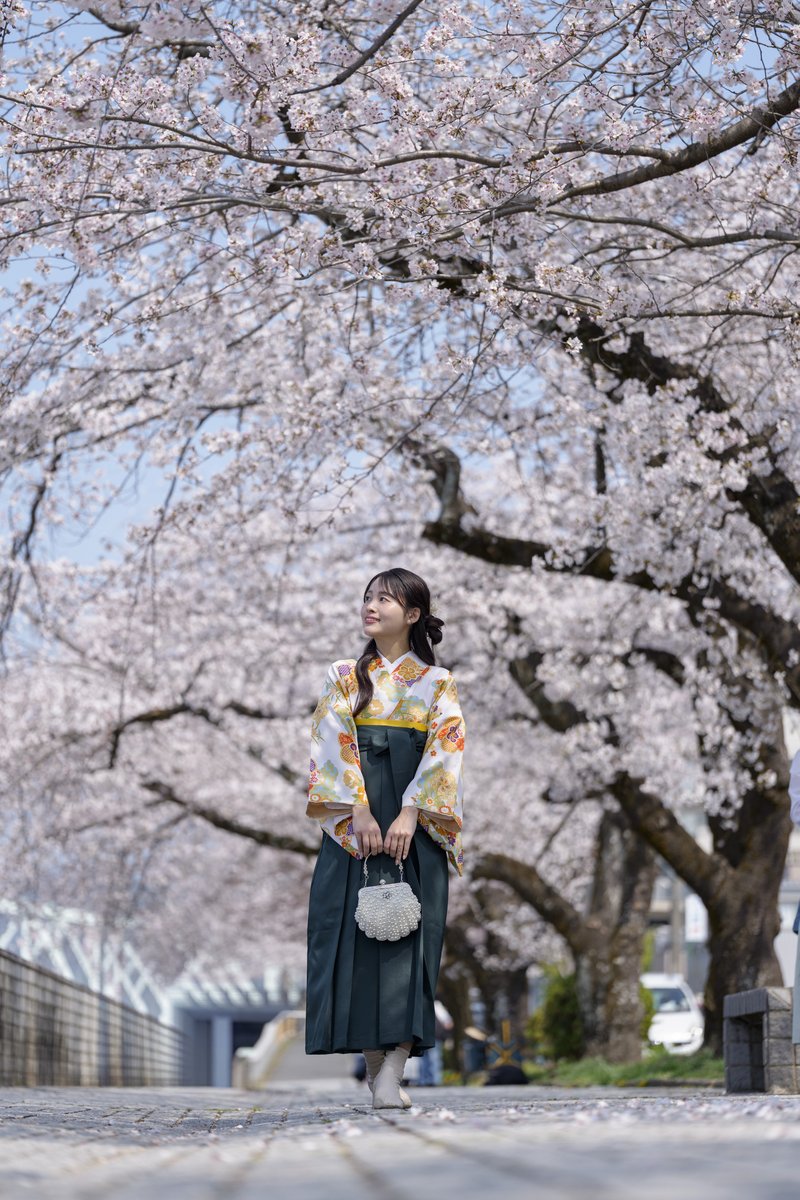 🌸ソメイヨシノもそろそろ葉桜🌸

今井七緒 さん
<a href="/imainao_429/">今井 七緒 / いまい なお</a>
#犬山市
犬山の写真は、これにて終了
SEL100M28GM
マクロレンズではありますが、色の薄いソメイヨシノが背景の、抜きのポートレートに使ってみたら、ボケ過ぎず結構良い感じになりました（私見）☺️