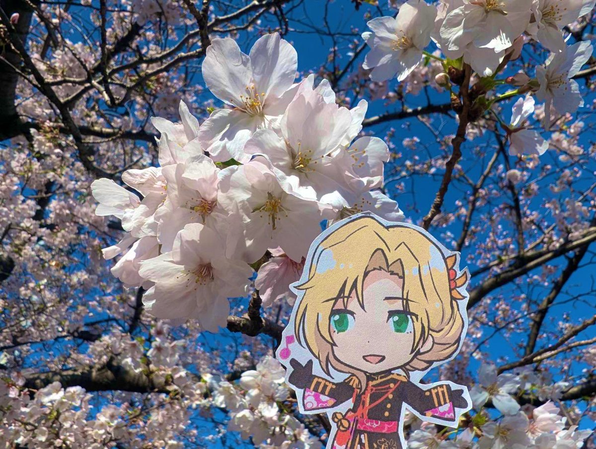 のっちさん tweet media