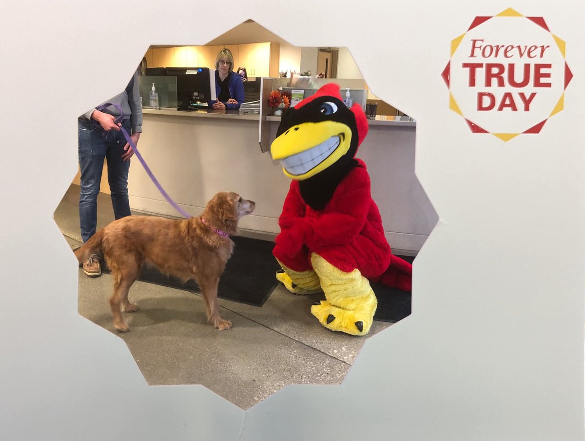 DanGrooms's tweet image. Please join me in supporting the @ISUVetMed during the 2026 Forever TRUE Day April 1-2, 2026
forevertrueday.com/giving-day/110…
#DiscoverDevelopDeliver