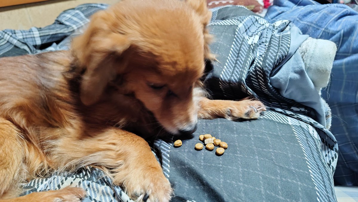 アイル tweet media