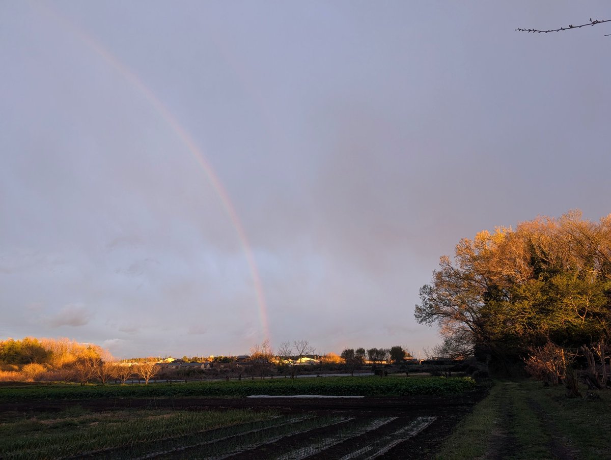yutaka abe tweet media