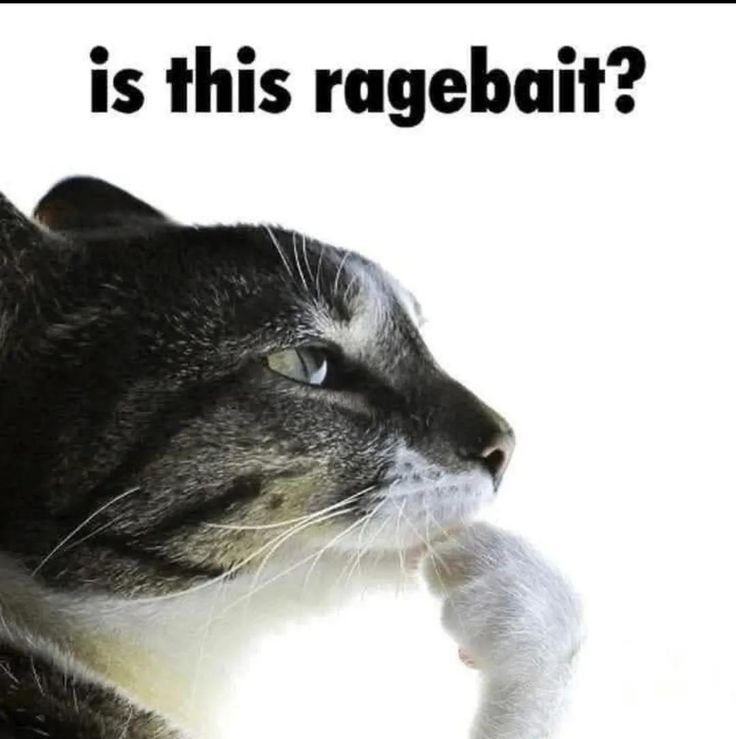 𝕯𝖊𝖆𝖉 𝕭𝖚𝖙𝖙𝖊𝖗𝖋𝖑𝖎𝖊𝖘 tweet media