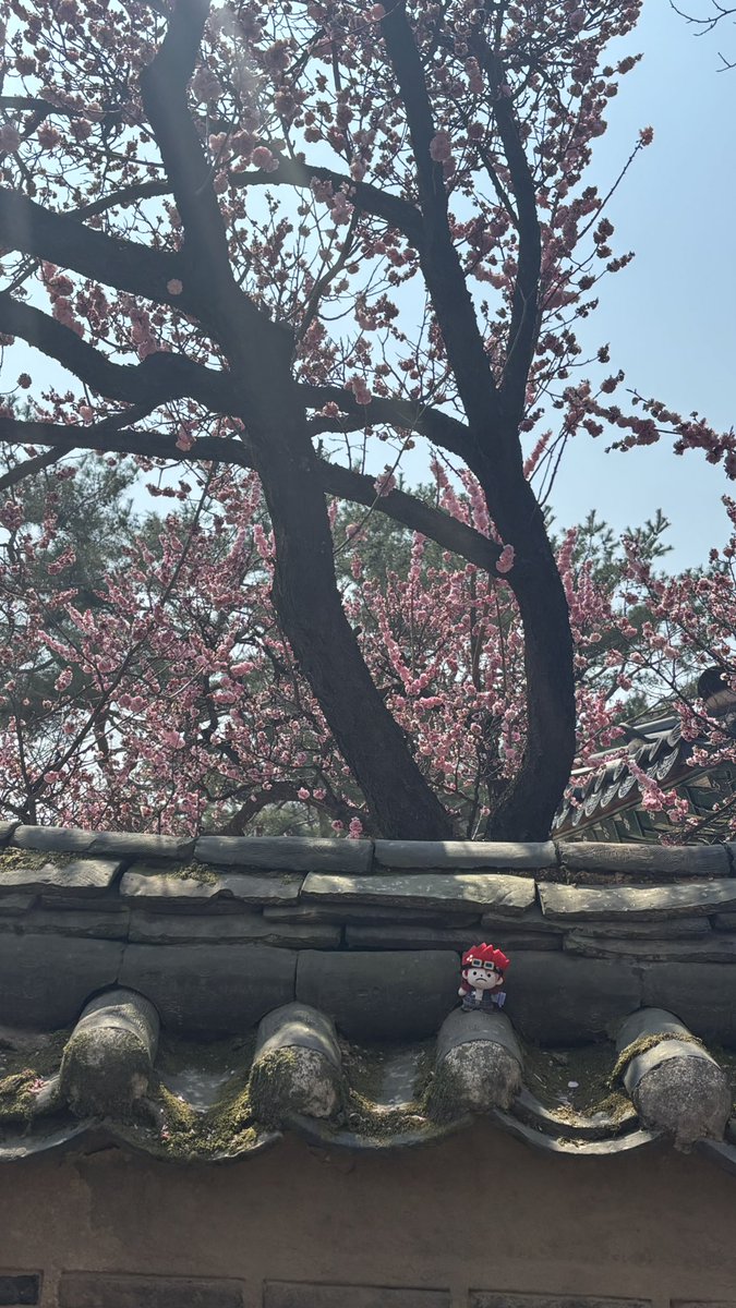 🍋kitami tweet media