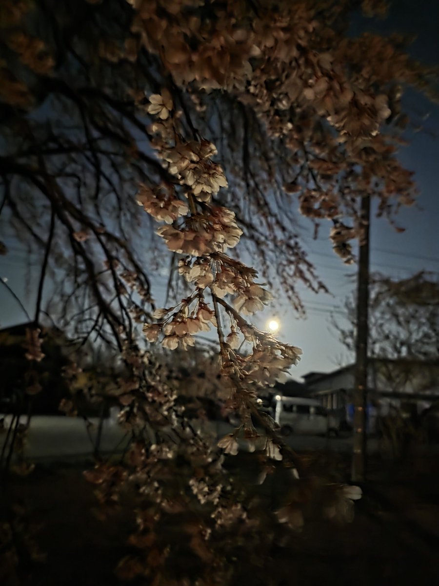 名も無き女@田舎の空が好き tweet media