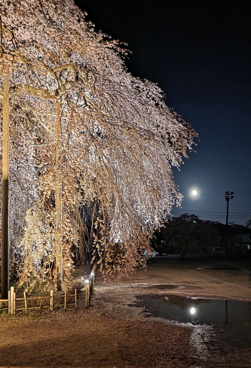 名も無き女@田舎の空が好き tweet media