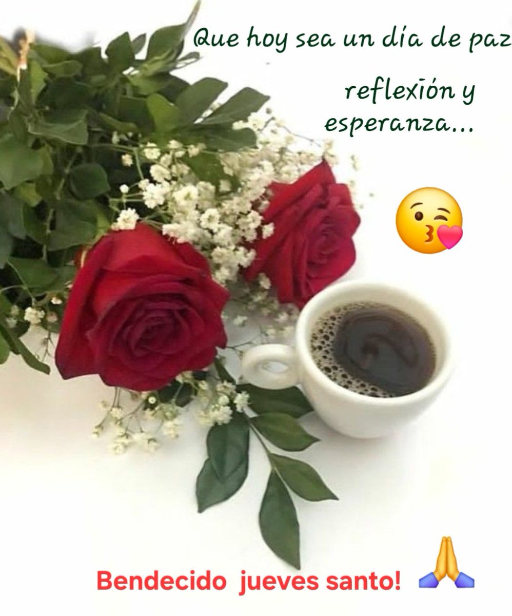 Malo Malísimo tweet media