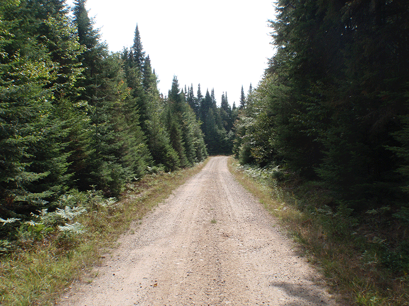 𝙷𝚒𝚌𝚔𝚖𝚊𝚗 tweet media