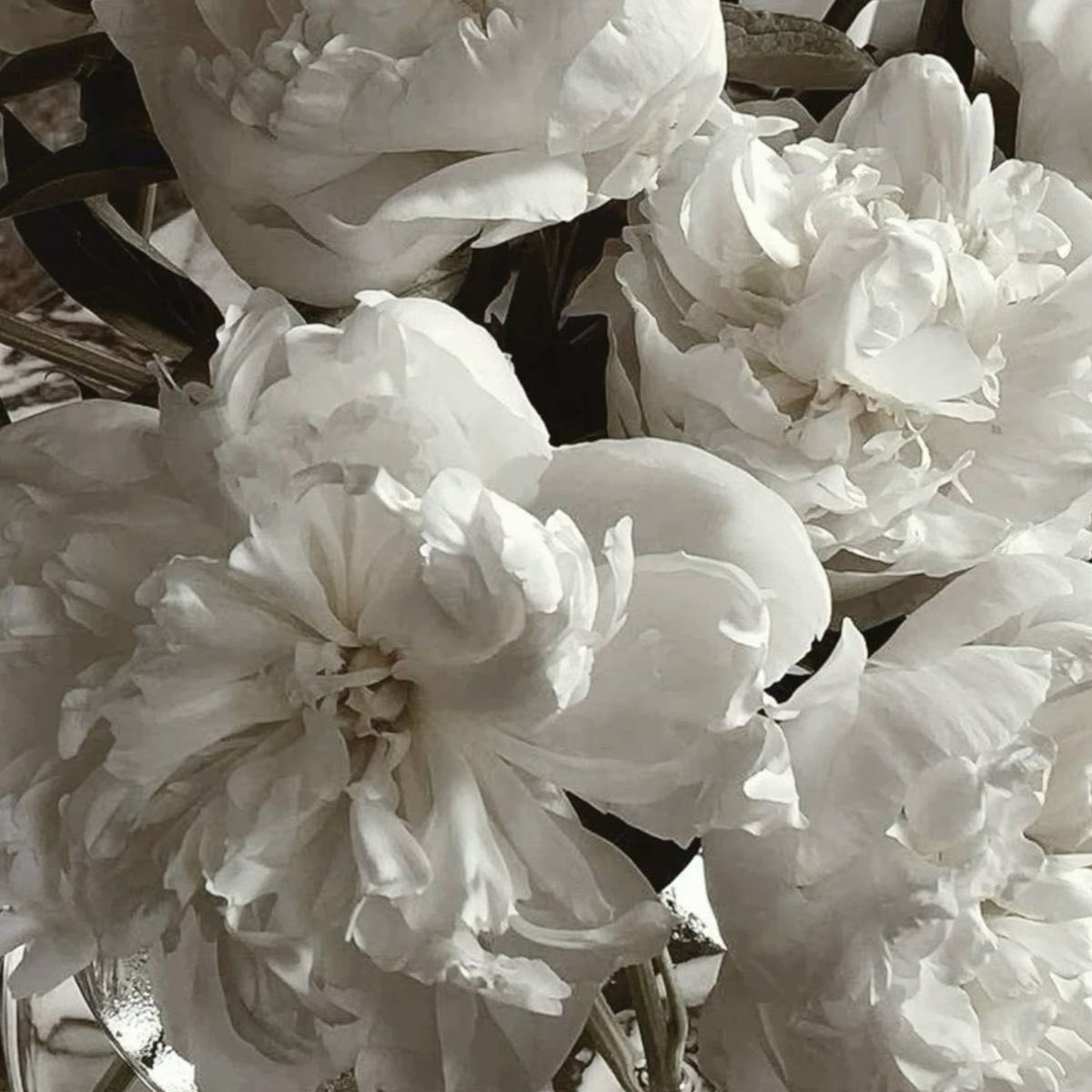 anna is seeing ariana🫧 tweet media