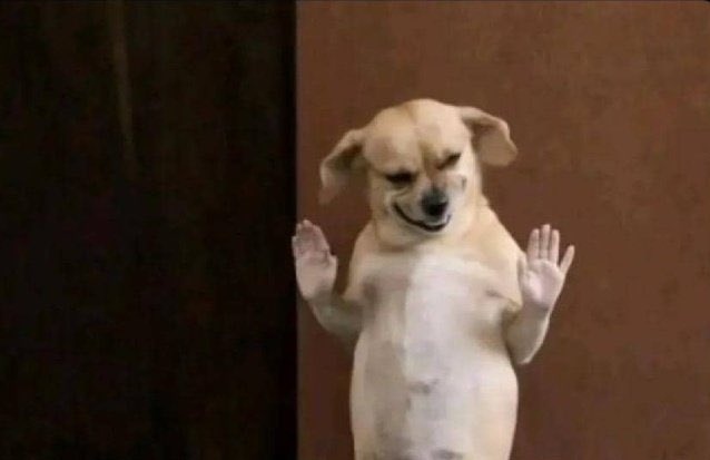 Mister Baay ® tweet media