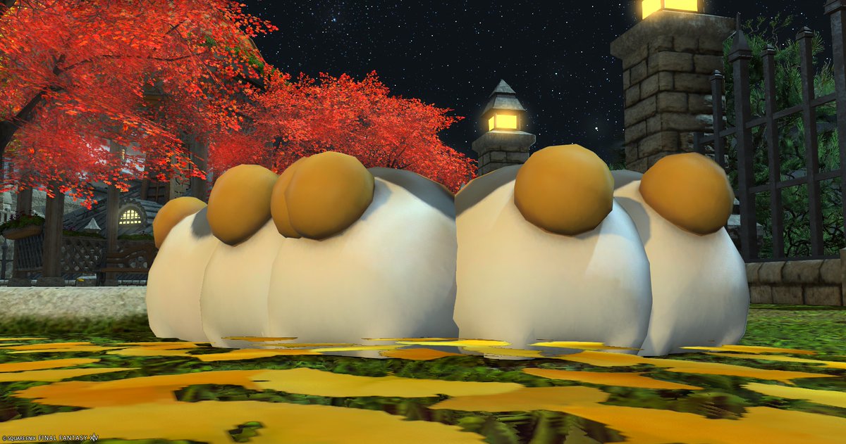 エリオット@ファットキャットのテンパード tweet media