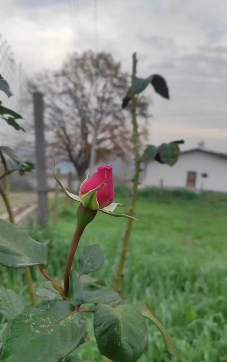 gönül_heybem🍂 tweet media