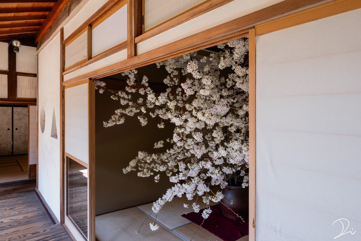 稲田大樹 / Daiki Inada tweet media