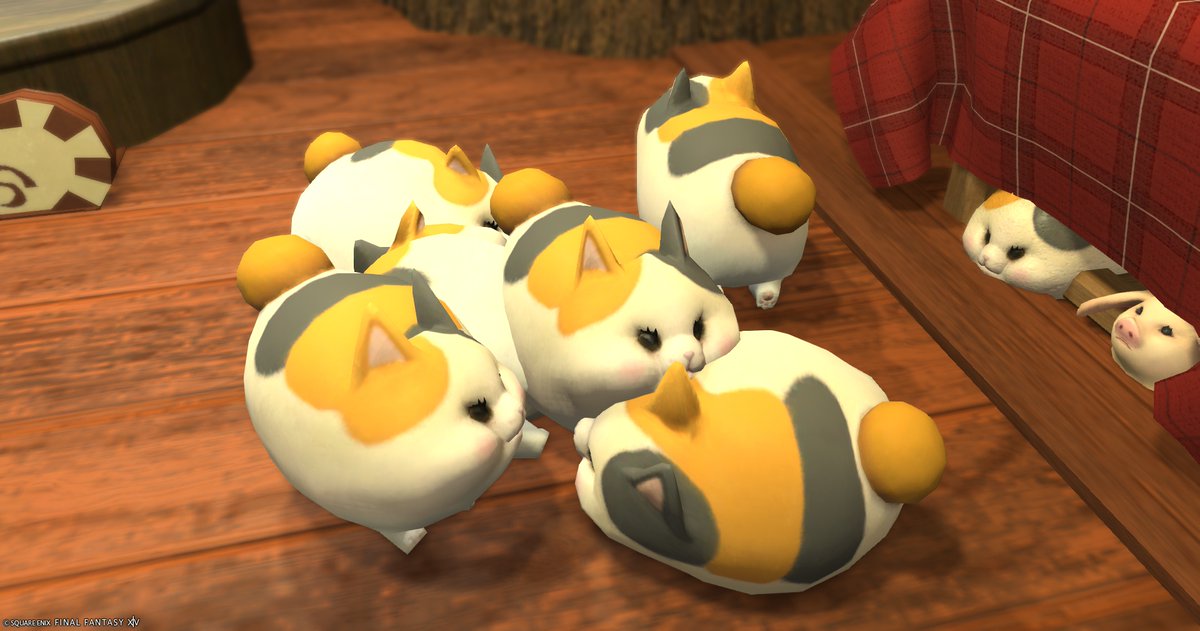 エリオット@ファットキャットのテンパード tweet media