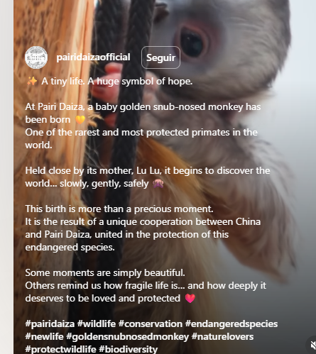 pysterpsd's tweet photo. @AFP His name is LULU GdkYMHucnsDdKtsJcLabxLGsubkj4KpFs6AQbLGopump https://t.co/TJwYTyPDvA