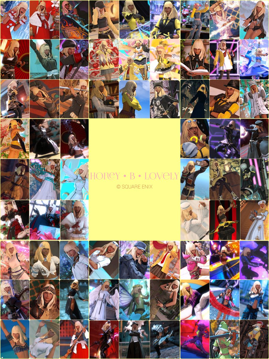 🫶猫のシロ🐝 tweet media