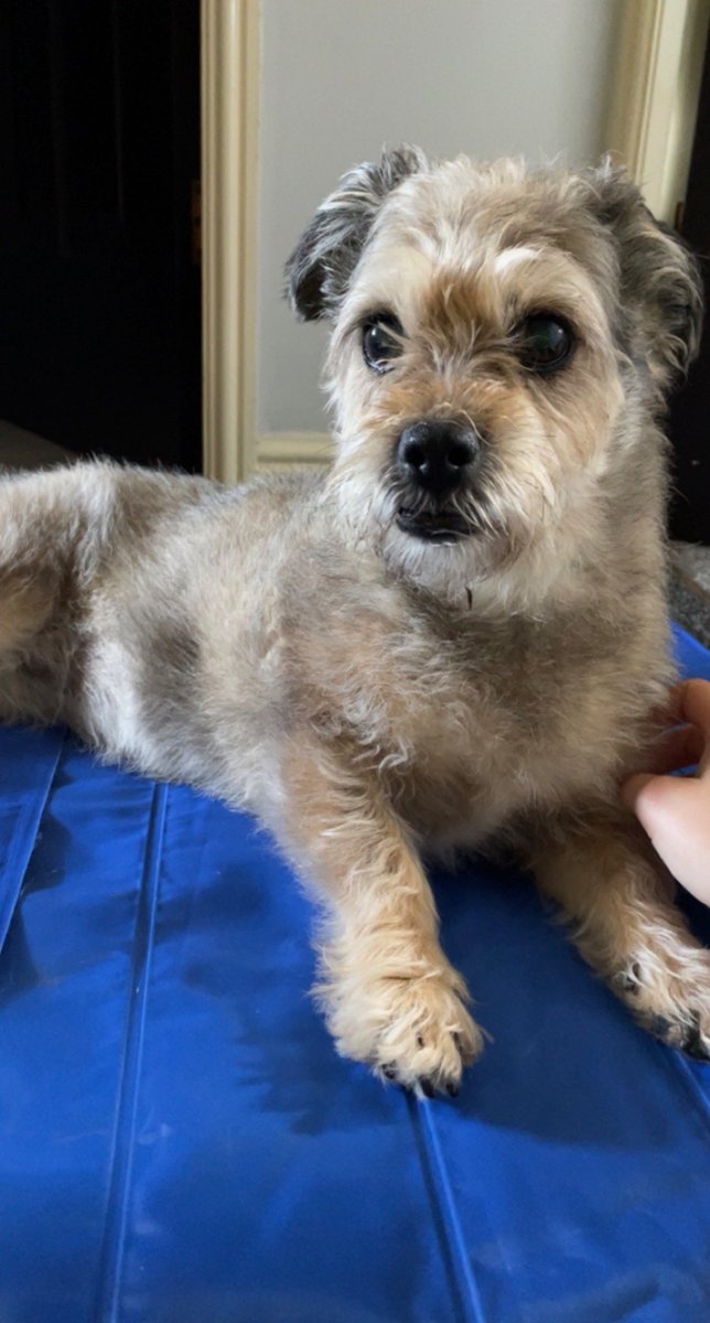 Danny ✌️ tweet media