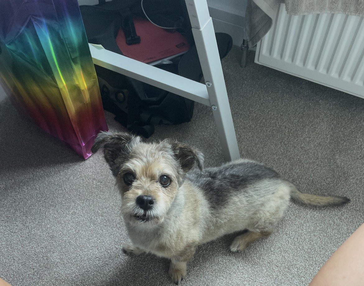 Danny ✌️ tweet media