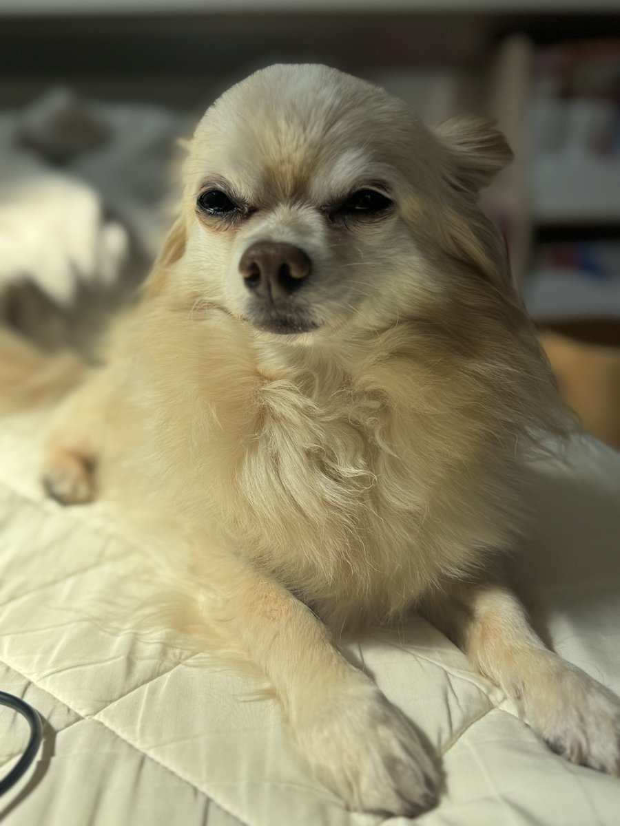 せいた tweet media