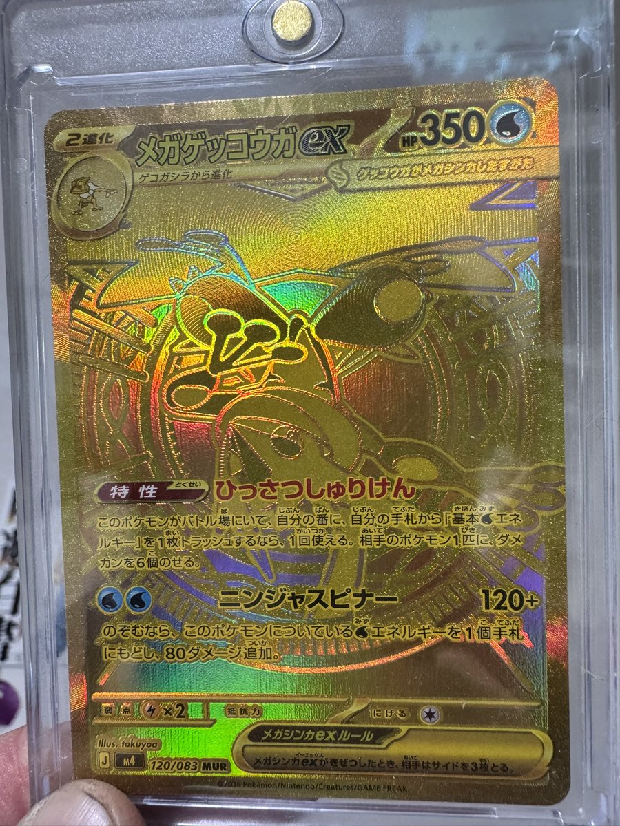 せいた tweet media