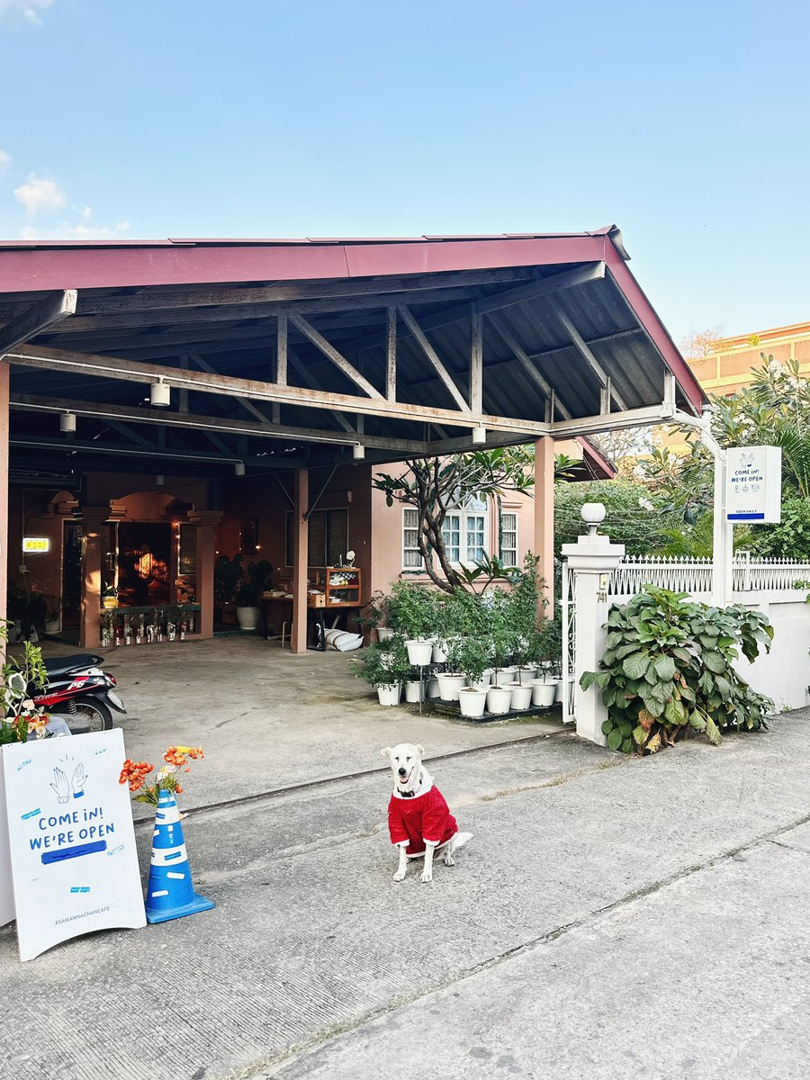 𝑺𝑨𝑴𝑨𝑵𝑵𝑨𝑪𝑯𝑨𝑵 𝑪𝑨𝑭𝑬’ 💙✨ tweet media