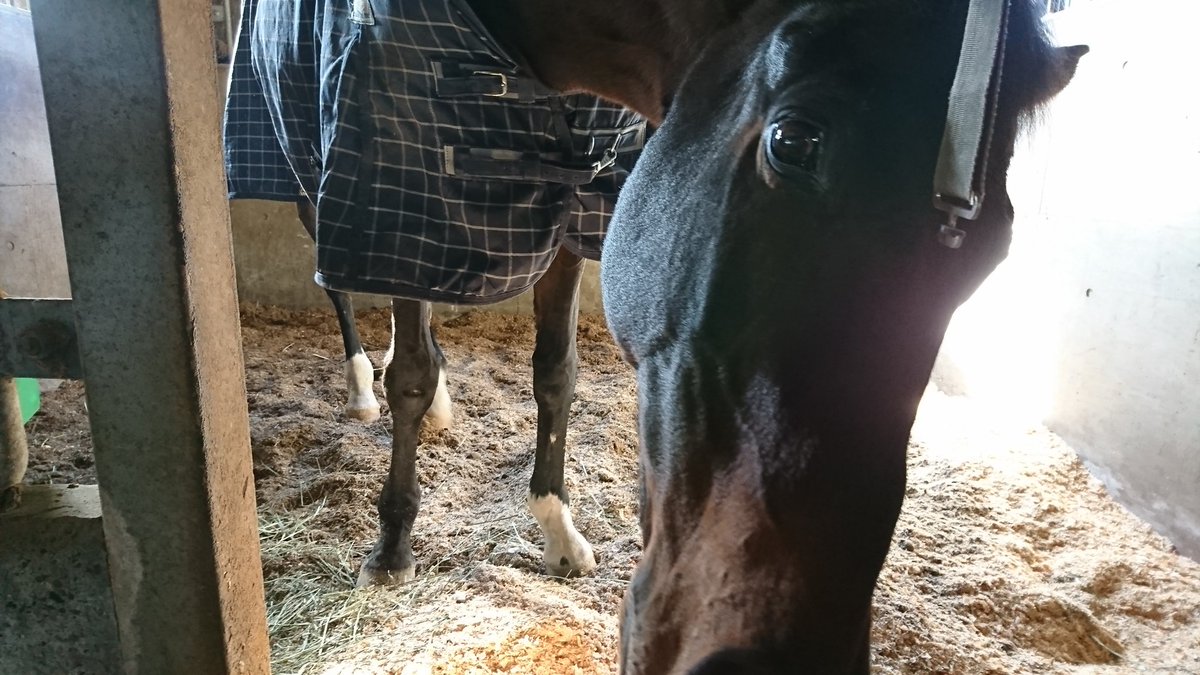 ぴーまん tweet media