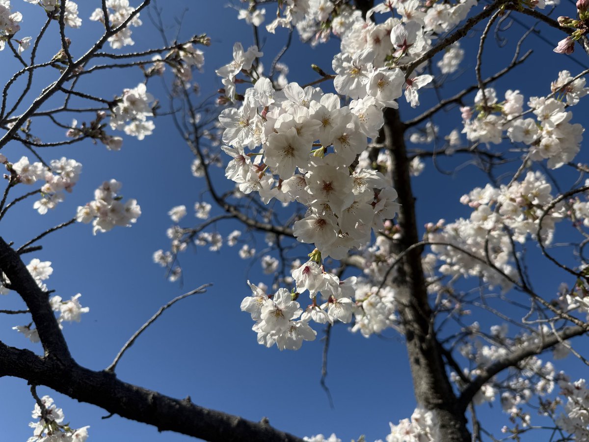 ENKEI【公式】-企業広報- tweet media