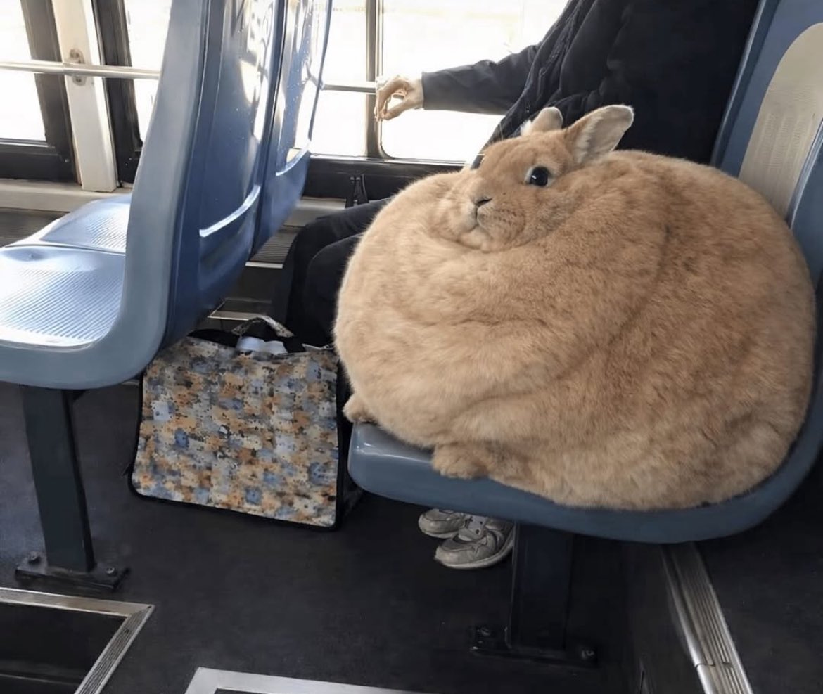 Björksinvest tweet media