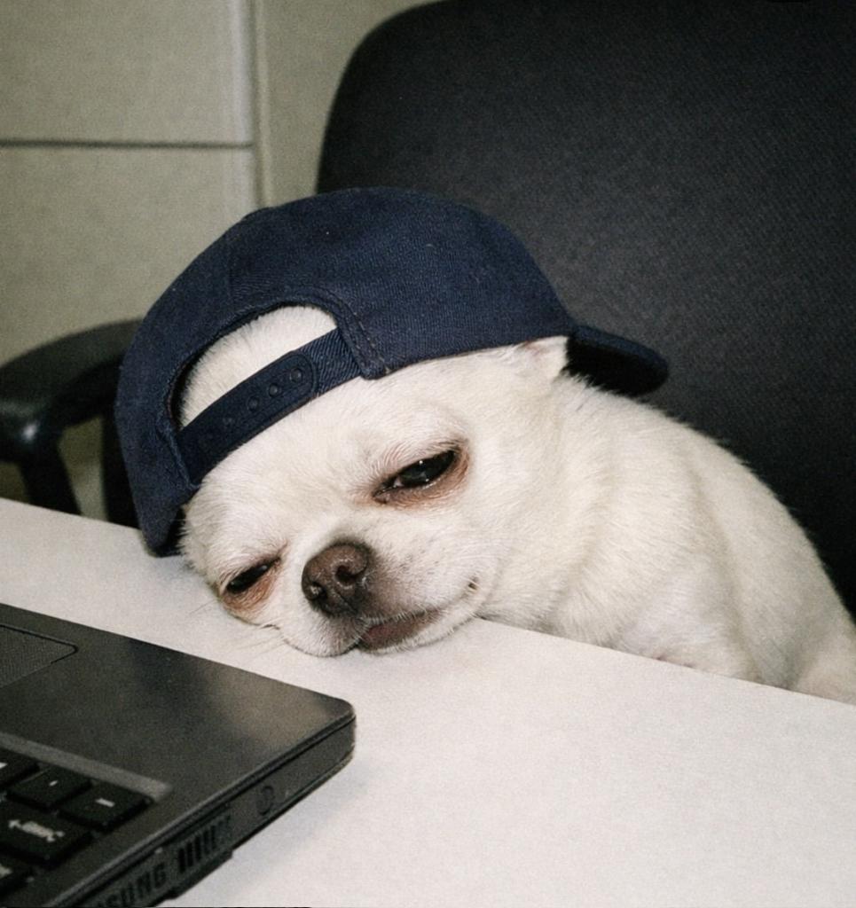 Goodness | The Digitor tweet media