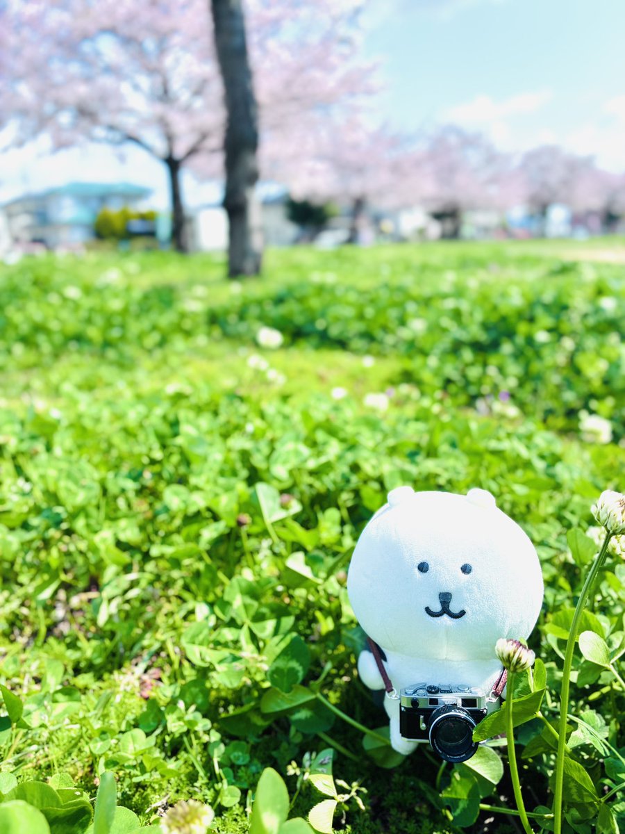 しとらす tweet media