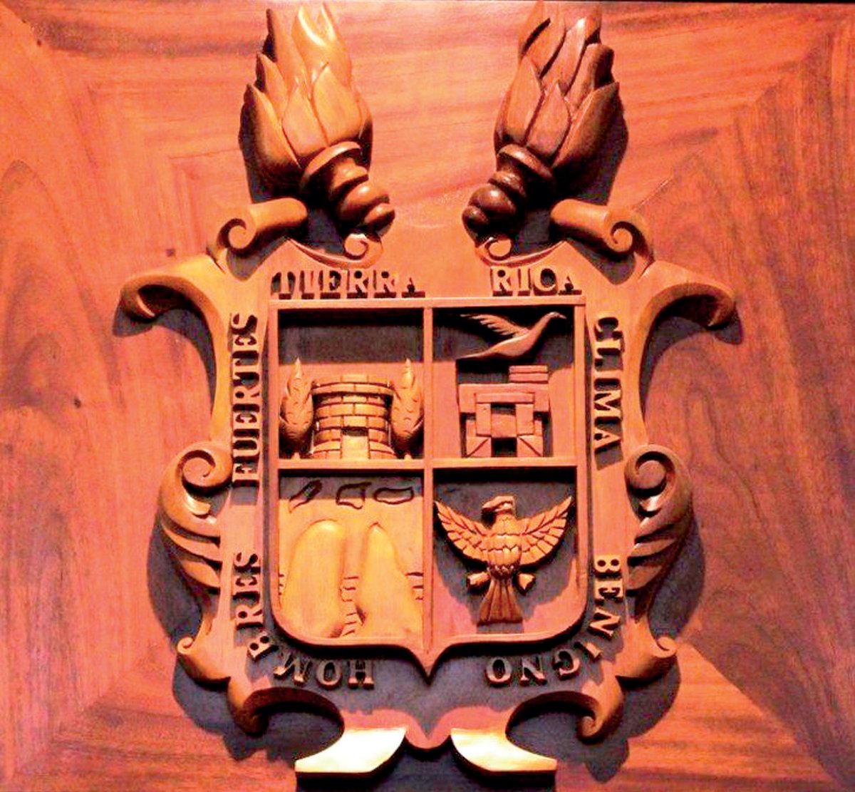 Museo Presidentes tweet media