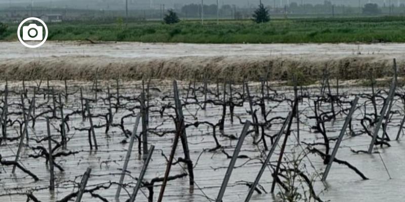 lAttacco's tweet photo. Piogge torrenziali nel foggiano, l'Ordine dei geologi della Puglia prende posizione: "Situazione critica" #MALTEMPO #DISSESTOIDROGEOLOGICO #PIOGGE https://t.co/3Nefjp7udA https://t.co/0tDQ5C4Fj7