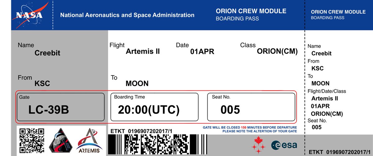 Creebit「苦力兔」🏳️⚧️ tweet media