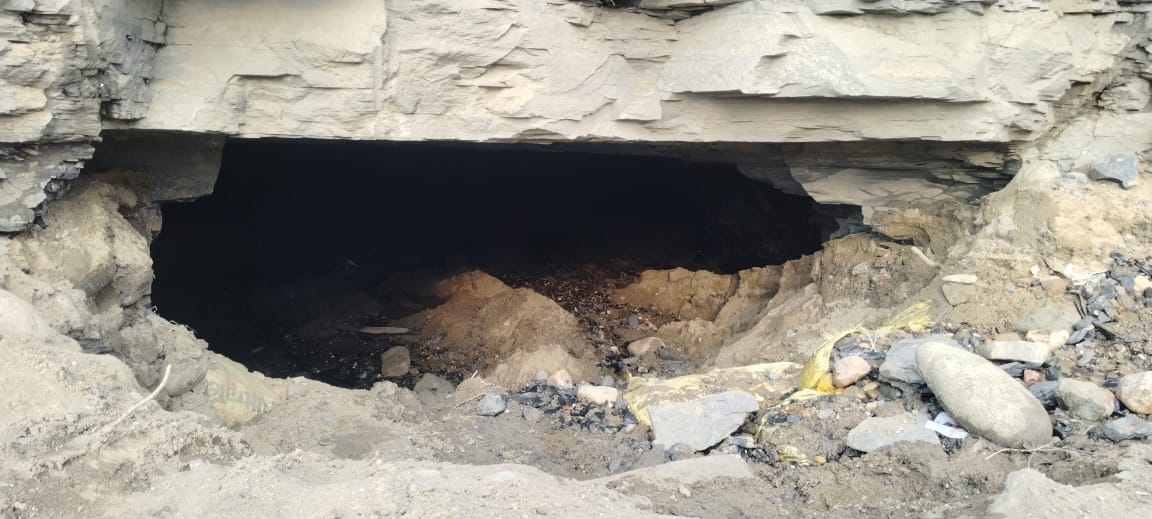 Collector Betul tweet media