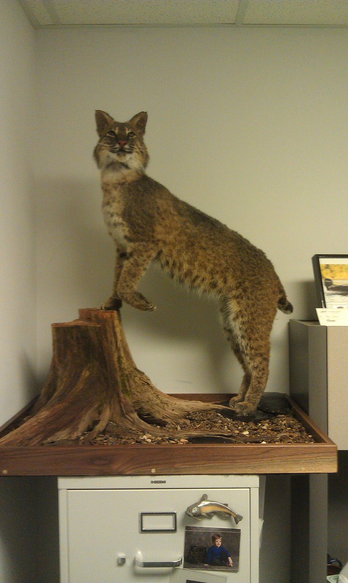 Adam Bernhardt tweet media