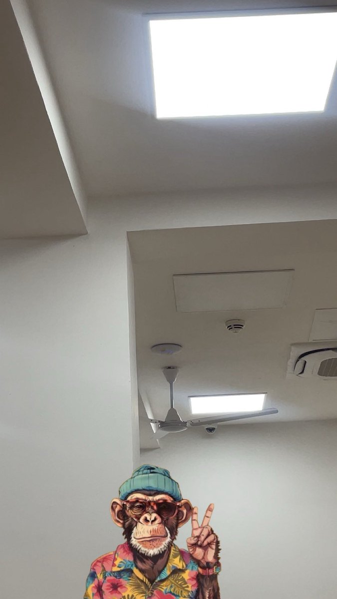 Butrous ! tweet media