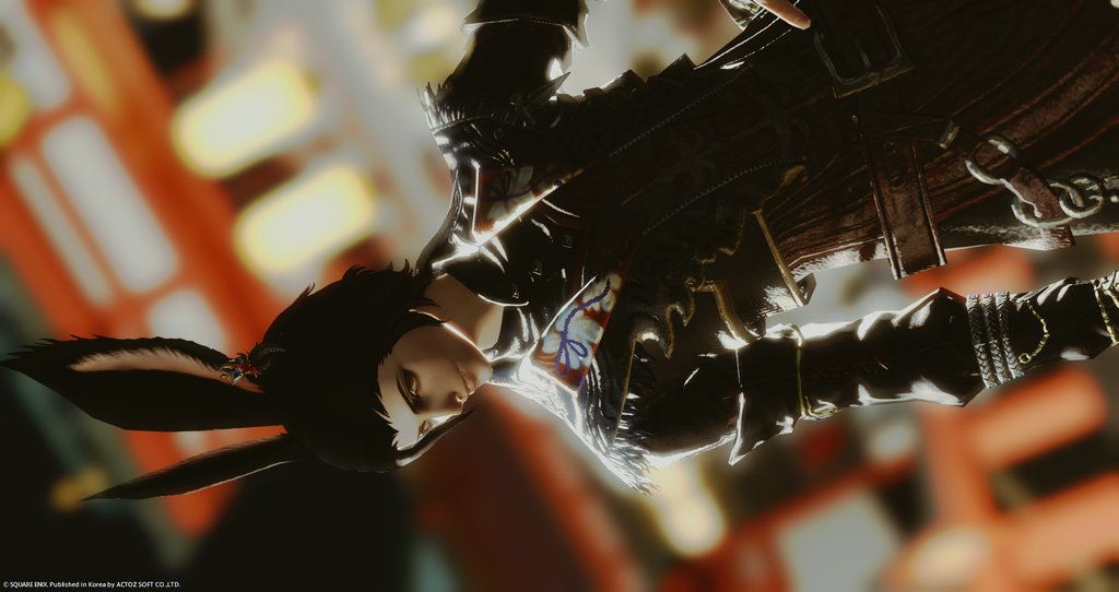 🐯TORA🐯 tweet media