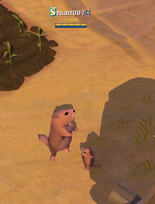albiononline's tweet image. The marmots came. The marmots tried. And now… things are getting back to normal.

Still, seeing everyone as marmots was pure chaos in the best way!😁

Drop your screenshots below, we want to see your best marmot moments!🦫 

#AlbionOnline #AprilFools #Marmot #MMORPG
