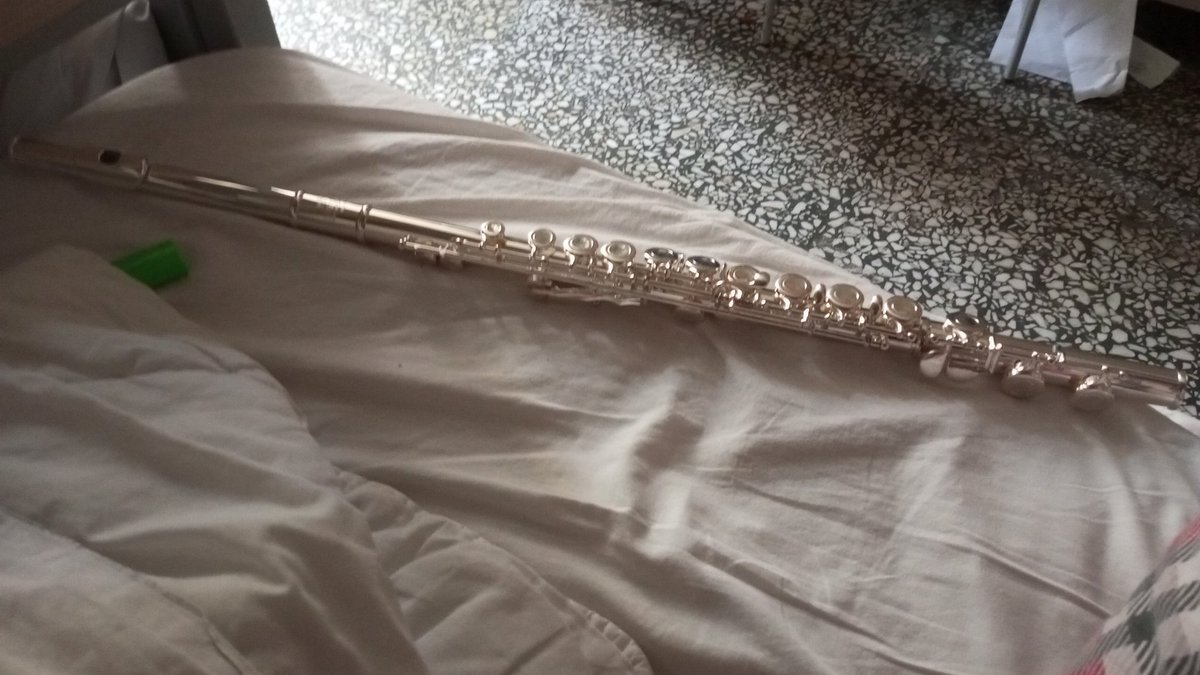 calida kedi var tweet media