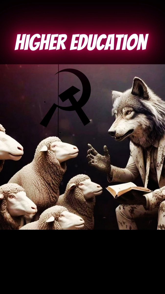 KnightRyder tweet media