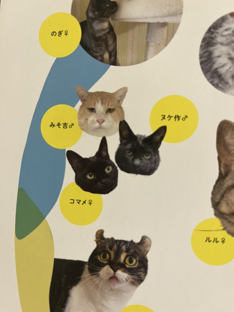 刈屋さちよ tweet media