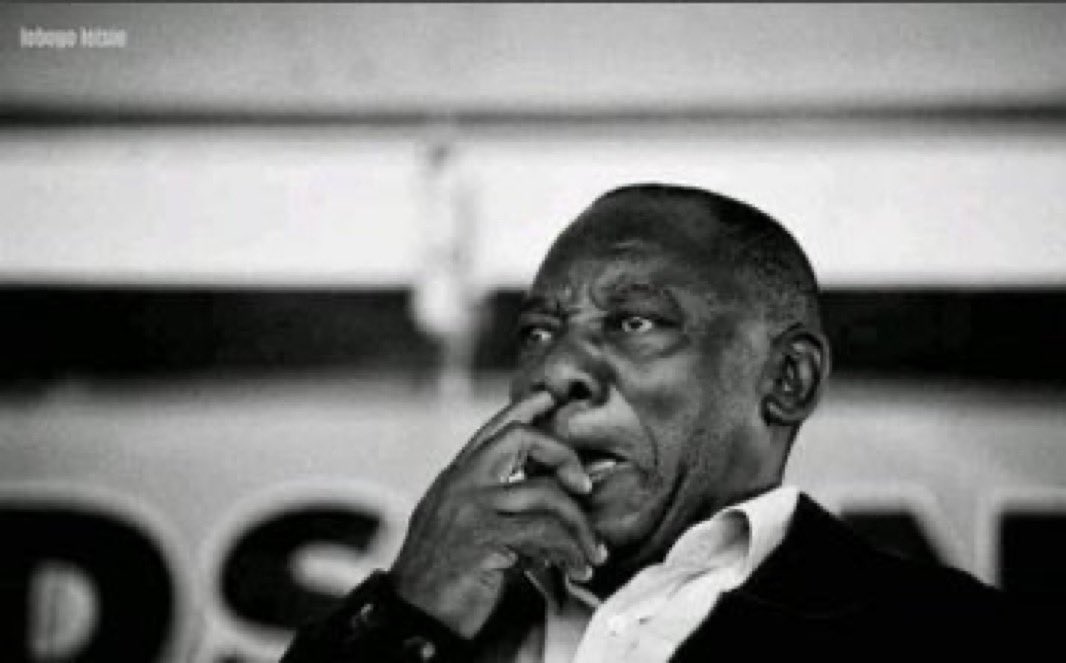 tweet oracles tweet media