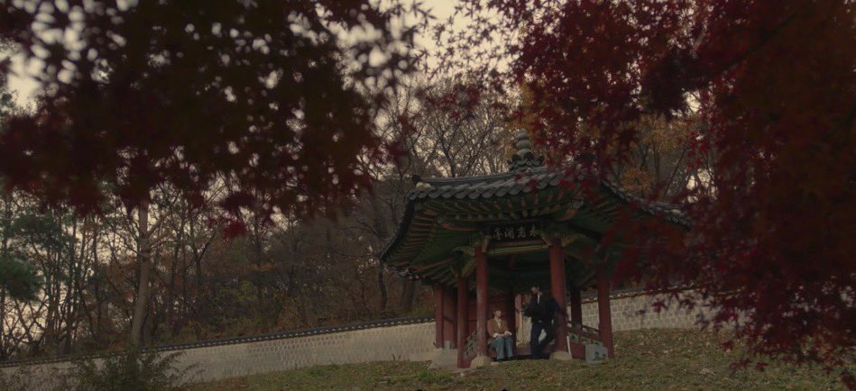 ᴀᴍᴀɴɪ. tweet media