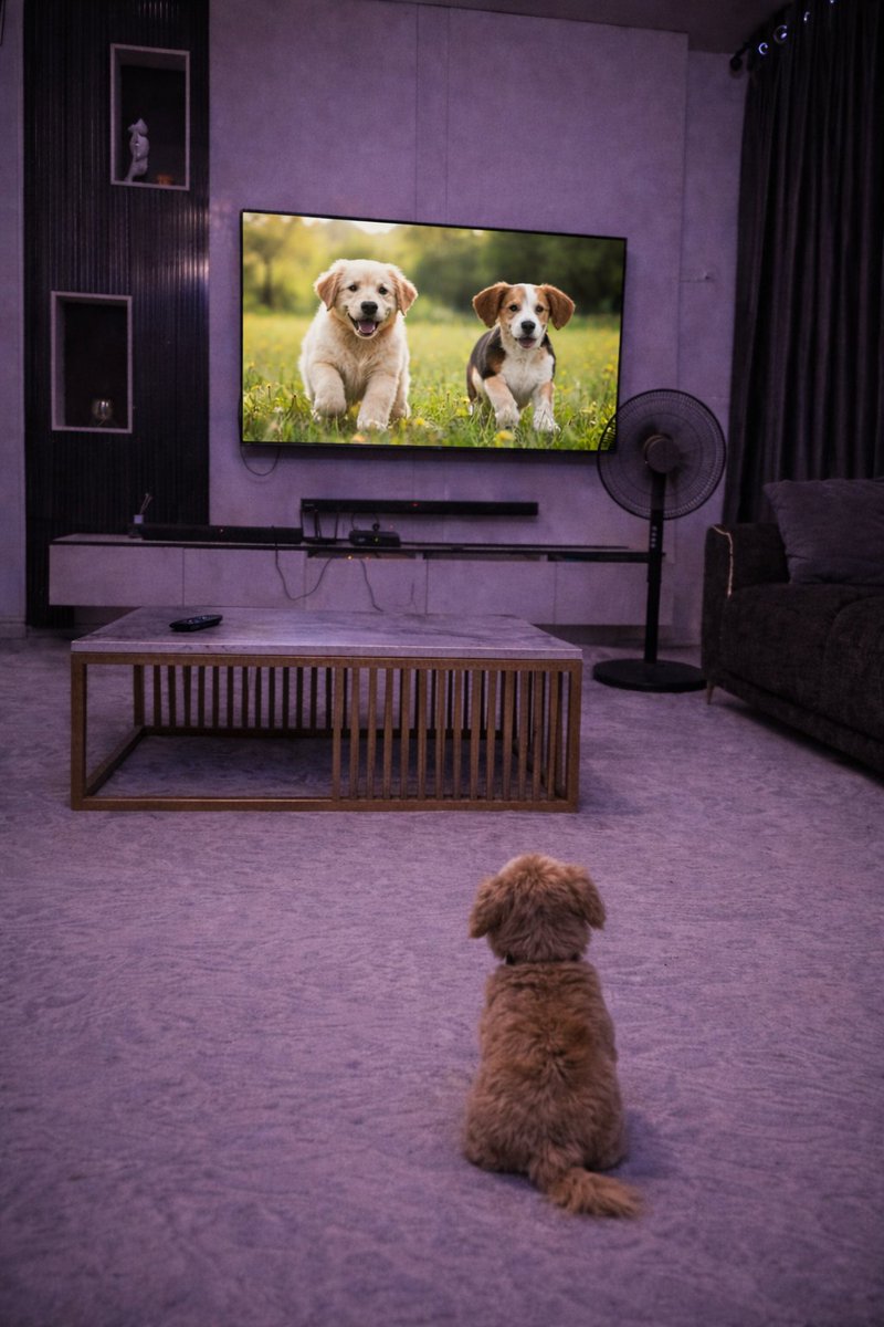 Biggest Posh tweet media