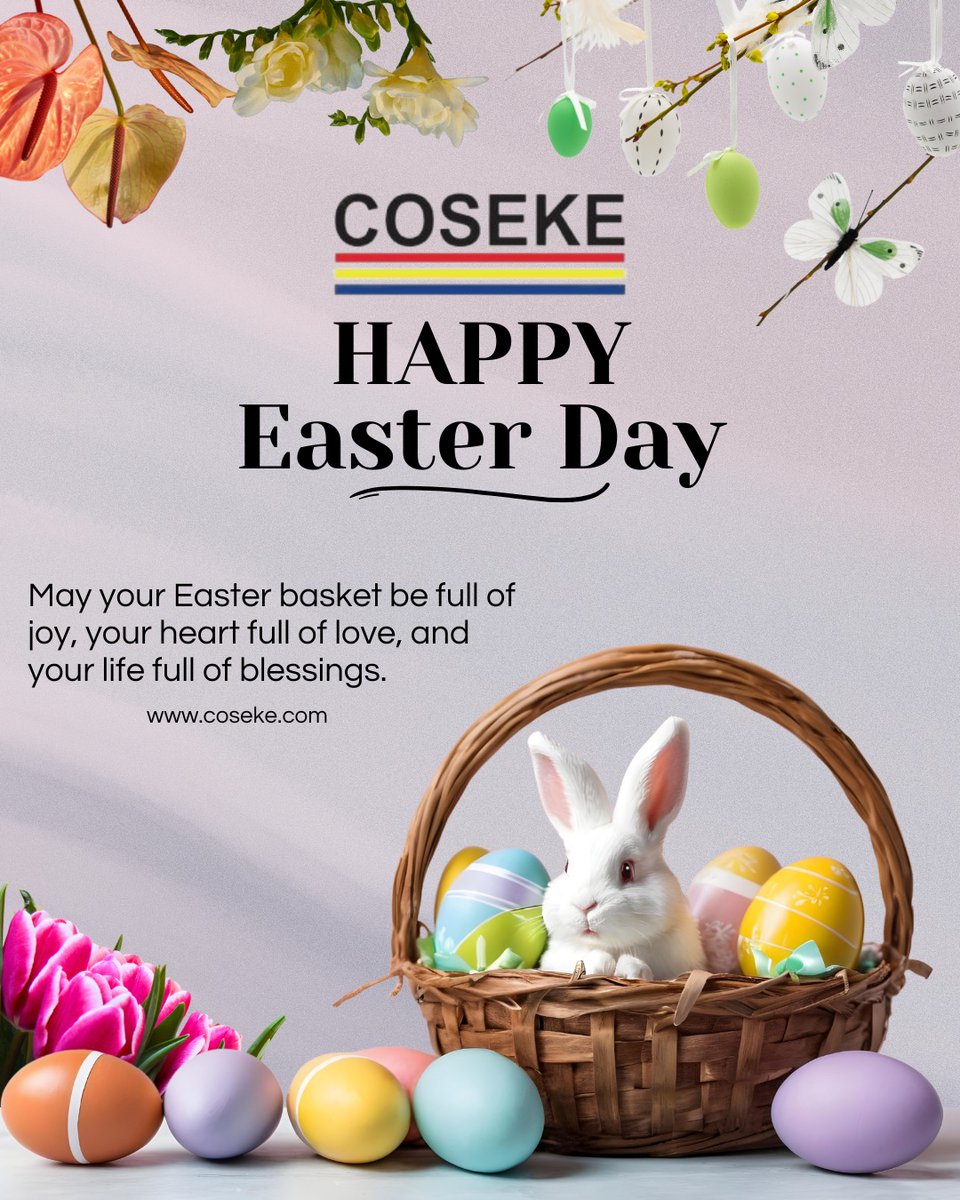 COSEKE LIMITED tweet media