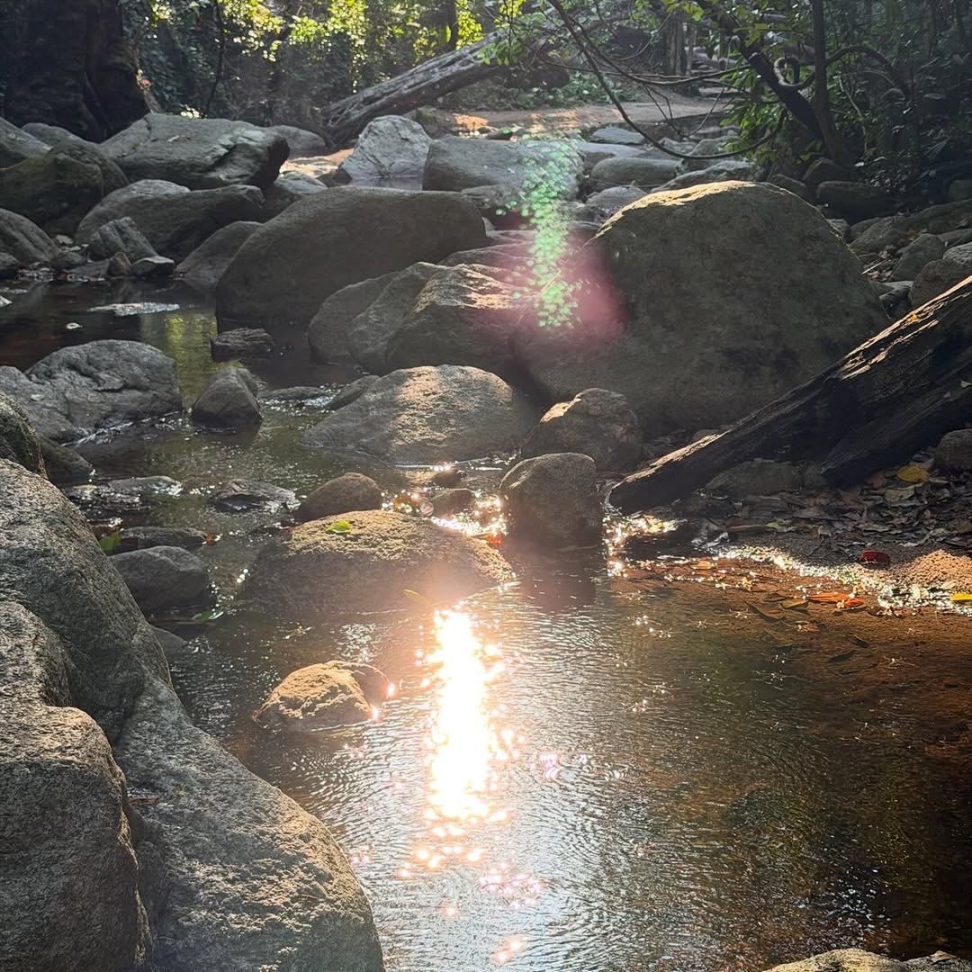 Central Build Jakapan 🇹🇭 tweet media