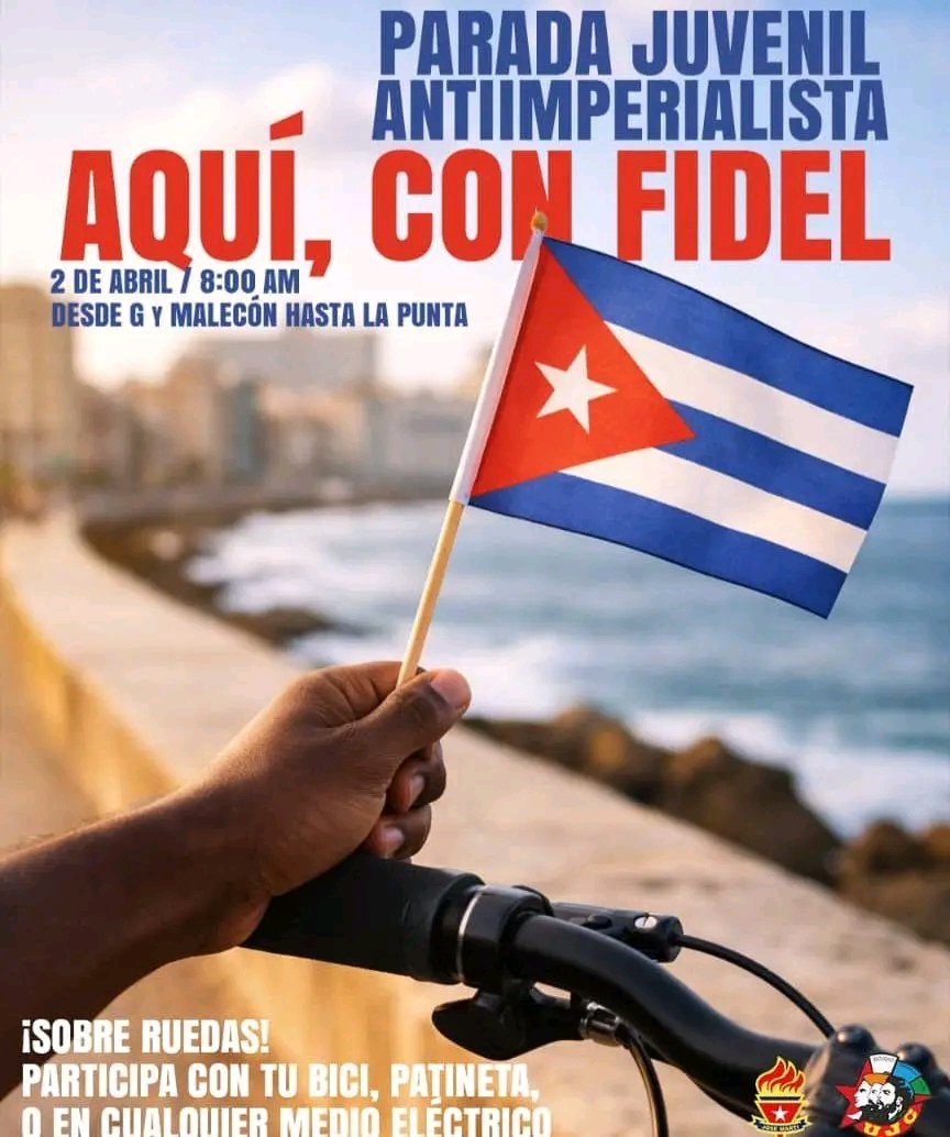 Economista de Cuba ANEC tweet media