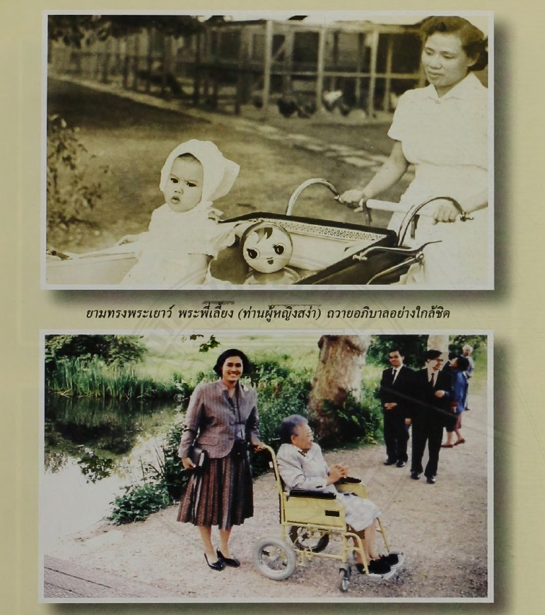 vnomenon 🇹🇭 tweet media