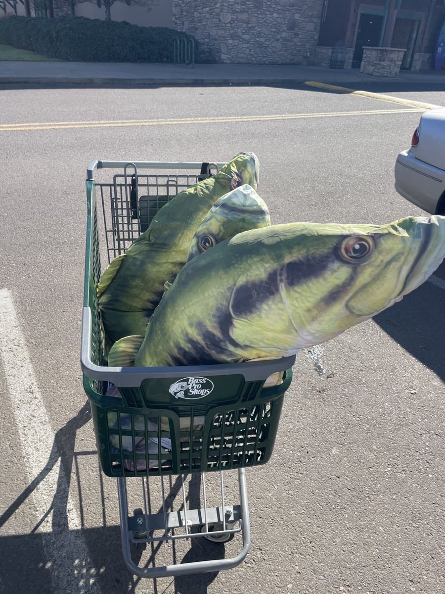 海ぬこ👯♀️@車両製作中 tweet media