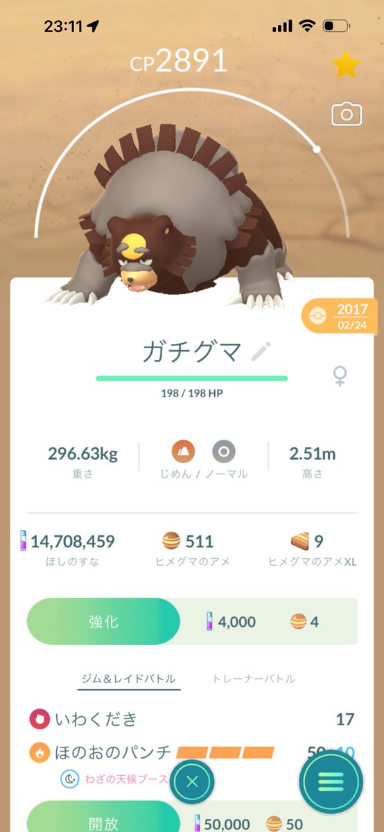 うさぎパパ【オーアイみたいなもの】 tweet media