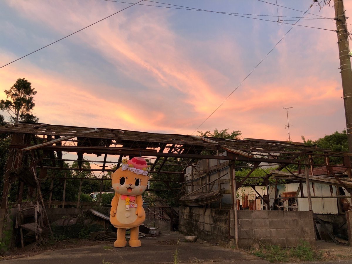 ちぃたん☆／Chiitan tweet media